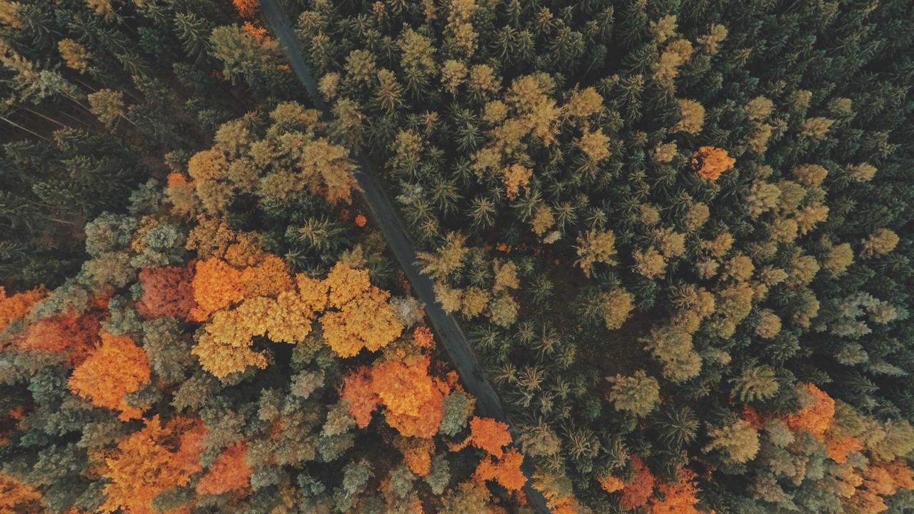Saglik gundemi: Gizli Görev filminin konusu nedir?