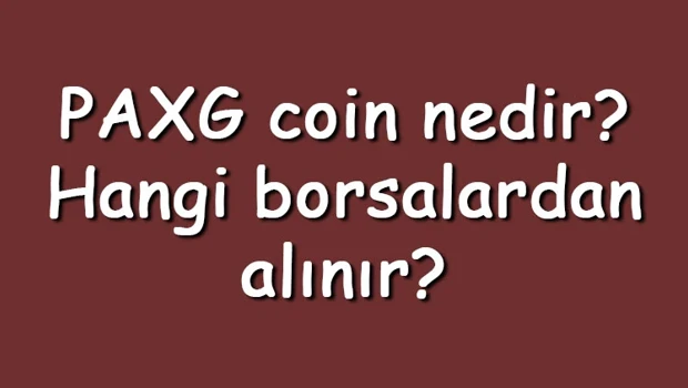 Saglik gundemi: PAXG coin nedir? Hangi borsalardan alınır? PAX Gold ne zaman çıktı? Ne iş yapar?
