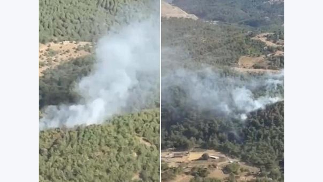 Balıkesir Ayvalık'ta orman yangını: Havadan ve karadan müdahale sürüyor